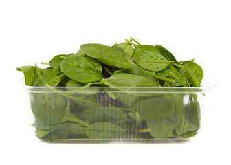 baby spinach isolated on white background