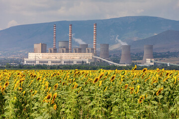 sunflower field and in the background a factory for the production of electricity