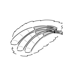 Japanese food illustration. Hand drawn sketch. Japanese cuisine. Vector illustration of Japanese shrimp sashimi. Menu design elements. Isolated objects. 