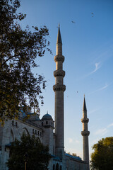 Fototapeta na wymiar The beautiful Suleymaniye Camii in Istanbul, Turkey