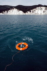 lifebuoy on the water - 447571174