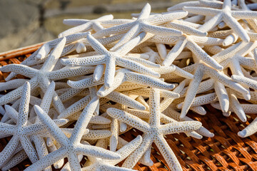 Fototapeta na wymiar Many starfishes for sale at the street shop