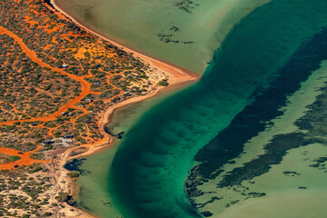 Abstract aerial view of blue-green water in shifting red deposition of sediment gradually moving through alluvial plains of Francois Peron National Park in Western Australia.