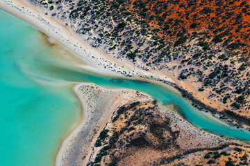 Abstract aerial view of blue-green water in shifting red deposition of sediment gradually moving through alluvial plains of Francois Peron National Park in Western Australia.
