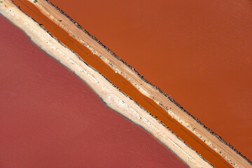 Hutt Lagoon contains the world's largest microalgae production. These artificial salt ponds are used to farm Dunaliella salina, which is a source of beta-carotene; a food-coloring agent, and pigment.
