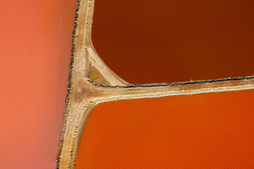 Hutt Lagoon contains the world's largest microalgae production. These artificial salt ponds are used to farm Dunaliella salina, which is a source of beta-carotene; a food-coloring agent, and pigment.