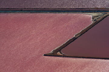 Hutt Lagoon contains the world's largest microalgae production. These artificial salt ponds are used to farm Dunaliella salina, which is a source of beta-carotene; a food-coloring agent, and pigment.