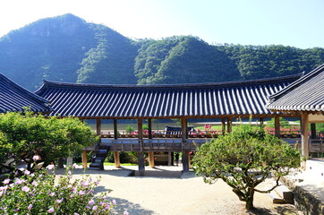Seowon in Korea with Summer Flowers