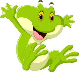 cute frog cartoon on white background