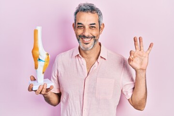 Handsome middle age man with grey hair holding anatomical model of knee joint doing ok sign with...