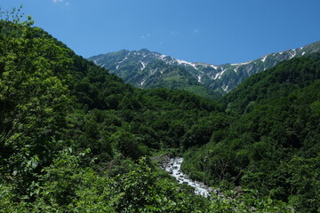 Fototapeta na wymiar 北アルプスの絶景トレイル。日本の雄大な自然。百名山、白馬岳。Amazing trekking area in Japanese North Alps. Mt.Shirouma