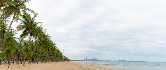 Panorama tropical and aloha summer vacation background photo of sea, beach, the coconut tree and...