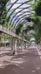 Obraz premium bridge in the park