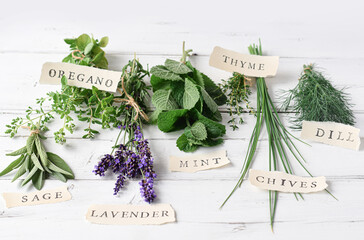 Bunches of different herbs on white wood table with lables