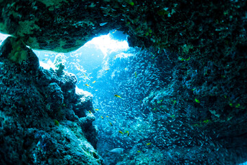 魚の群れと洞窟