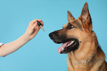 Woman giving tincture to German Shepherd dog on turquoise background, closeup