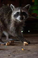 parque tayrona playas llenos de personas camino de calles llenos de gente mar calmo atardeceres cielos azules y trabajadores caminando colombia caribe colombiano, taganga santa marta mendihuaca 