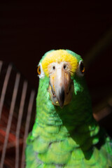 parque tayrona playas llenos de personas camino de calles llenos de gente mar calmo atardeceres cielos azules y trabajadores caminando colombia caribe colombiano, taganga santa marta mendihuaca 