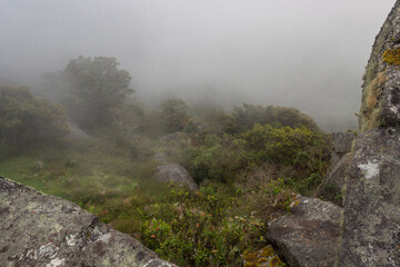 Fototapeta na wymiar fog arrives to an andean mountain forest with endemic vegetation and big natural monoliths