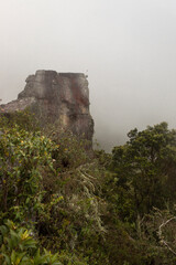 Fototapeta na wymiar an ancient indigenous monolith top with some small green bushes in middle of andan cloudy forest.