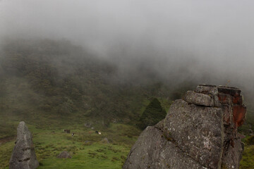 Fototapeta premium The top of three ancient monoliths viewed from the top of a small peak with green countryside a small cattle and colombian andean fog mountains at background
