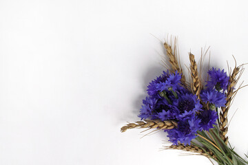 cornflowers and wheat ears lie on a white background in the lower right corner, top view, flat layout, space for text, isolated