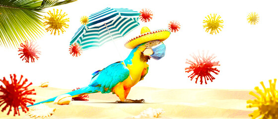 Fototapeta premium Macaw parrot with medical mask on vacation