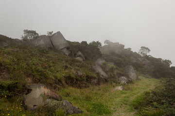 Ancient Muisca colombian culture monoliths with rural path and fog.