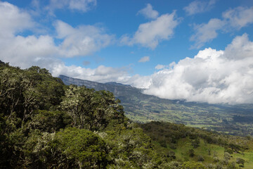 Fototapeta na wymiar Colombian andean high forest with countryside valley and andean mountain range at background with cloudy blue sky in the morning