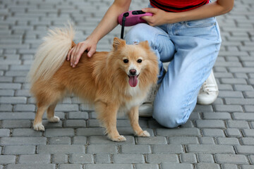 Young woman with her cute dog on city street, closeup