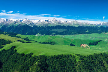 Fototapeta na wymiar The beautiful landscape of Kalajun grassland of Yili of Xinjiang, China.