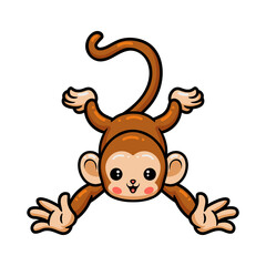 Cute baby monkey cartoon posing
