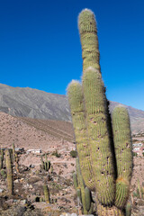 en salta, tucuman, argentina hay lugares que entre ruinas dan vida a la cultura del interior, indigenas, las iglesias, el cerro de los 7 colores, sus monta&ntilde;as, hacen magia