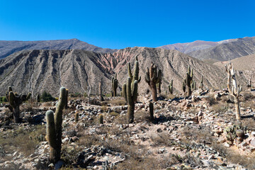 en salta, tucuman, argentina hay lugares que entre ruinas dan vida a la cultura del interior, indigenas, las iglesias, el cerro de los 7 colores, sus montañas, hacen magia © andrea