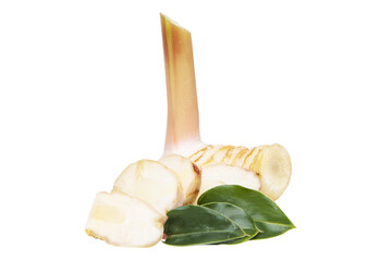 Fresh slices galangal rhizomes with sliced and green leaf. Popular herbs of Thailand and then It is a food ingredient in Thailand. isolated on white background, (Alpinia galanga)