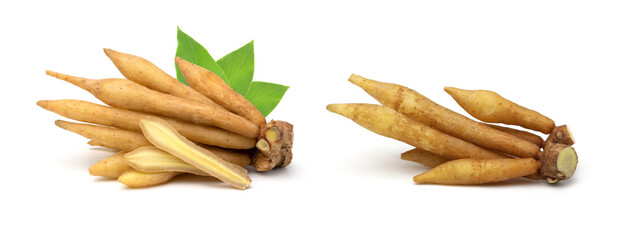 Finger root (Krachai) and half with leaves isolated on white background, herbal.