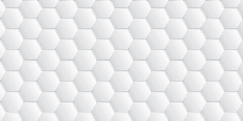Abstract  white and gray color, modern design background with geometric hexagonal shape. Vector illustration.