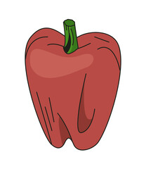 Isolated pepper vegetable