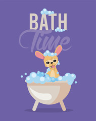 Bath time of chihuahua dog cartoon