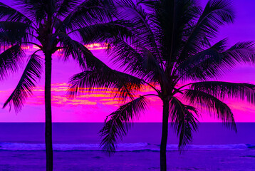 Fototapeta na wymiar Sunset in Hawaii