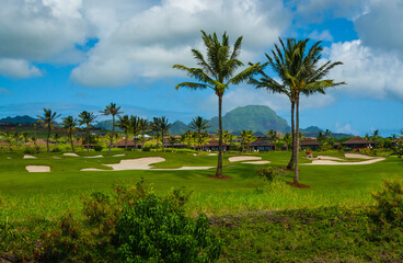 Golf course in Kauai - 447608915