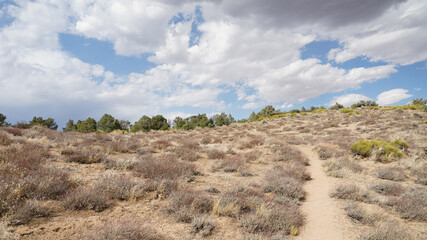 Desert section from Tehachapi Pass on the Thru Hiking footpath PCT (Pacific Crest Trail) in California, USA. 