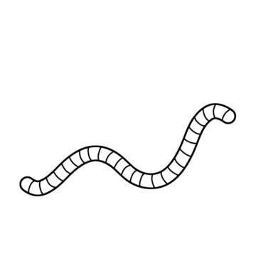 Earthworm. Insect worm set. Bait for fishing. Black and white cartoon illustration