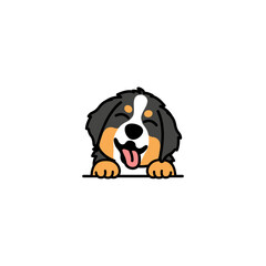 Cute bernese mountain puppy smiling cartoon, vector illustration