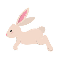 cute rabbit icon