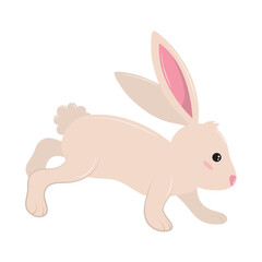 rabbit animal icon