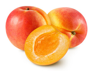 Apricot isolated on white background