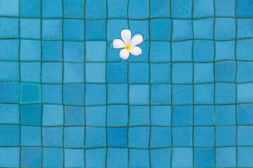 The flowers float in the water at the pool inside the hotel for use as a background