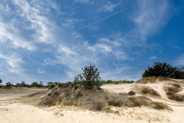 Nature reserve Kootwijkerzand, Gelderland Province, The Netherlands