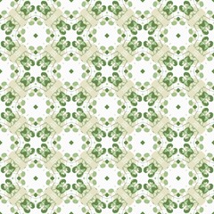 Obraz premium Ethnic botanical seamless pattern with ornament